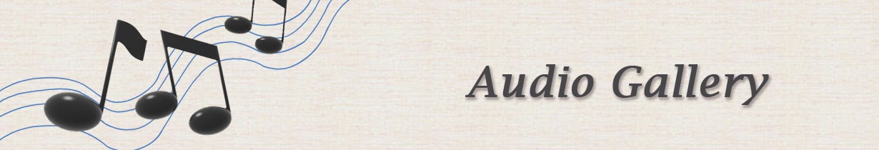 audio gallery