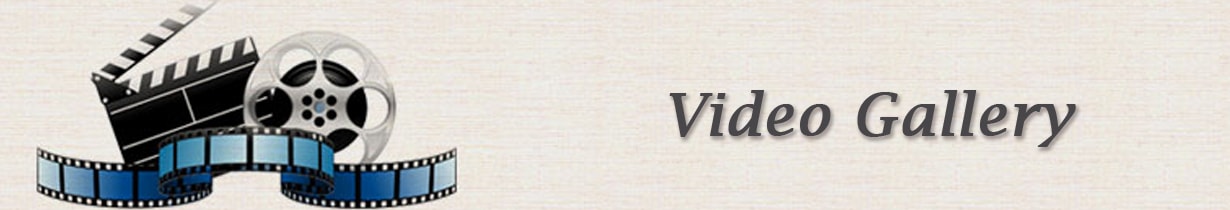 Video Gallery